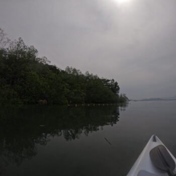 DCIM102GOPROGOPR3381.JPG DCIM102GOPROGOPR3381.JPG