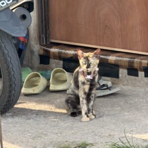 IMG_6628 IMG_6628