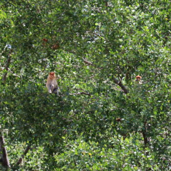 IMG_7022 IMG_7022