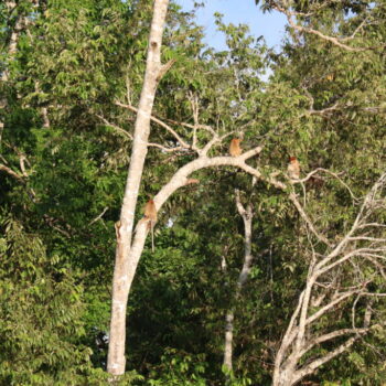 IMG_7100 IMG_7100