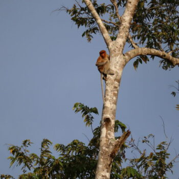 IMG_7114 IMG_7114