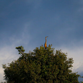 IMG_7140 IMG_7140