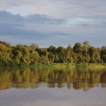 IMG_7149 IMG_7149