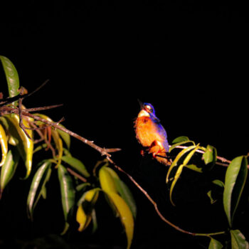 IMG_7180 IMG_7180