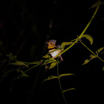 IMG_7198 IMG_7198