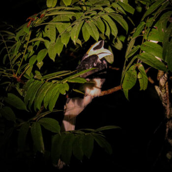 IMG_7217 IMG_7217