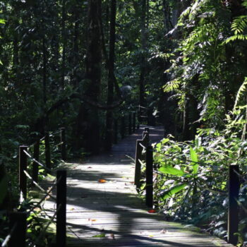 IMG_7227 IMG_7227