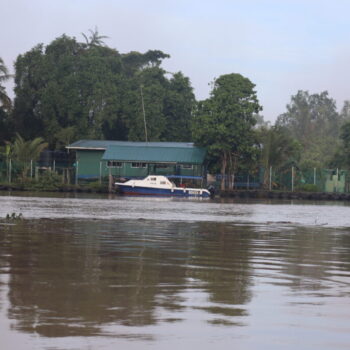 IMG_7349 IMG_7349