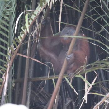 IMG_7359 IMG_7359