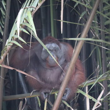 IMG_7391 IMG_7391