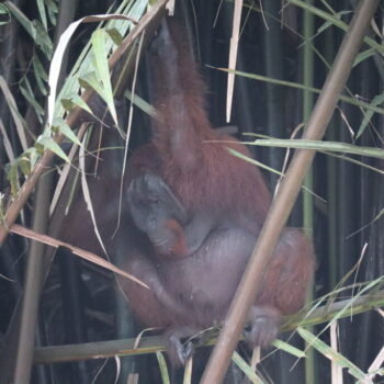 IMG_7403 IMG_7403