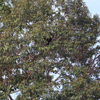IMG_7531 IMG_7531