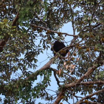 IMG_7568 IMG_7568