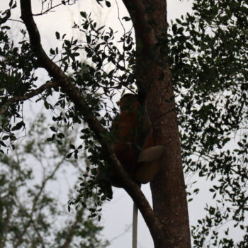 IMG_7618 IMG_7618