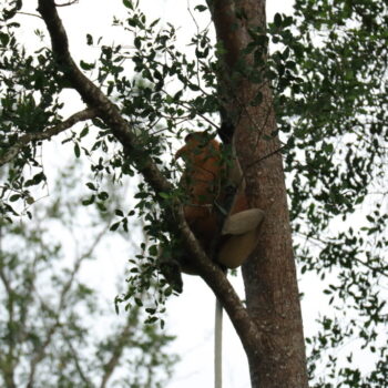 IMG_7621 IMG_7621