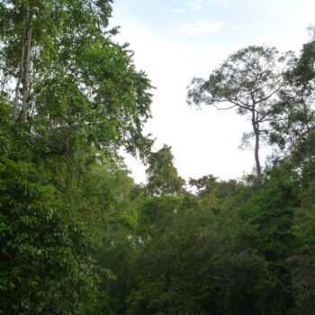 P1030911 P1030911
