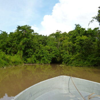 P1030940 P1030940