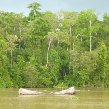 P1030961 P1030961