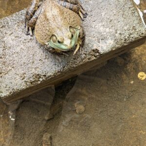 IMG_7122 IMG_7122